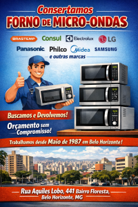 Conserto de Micro-Ondas em BH (31)3275 3315